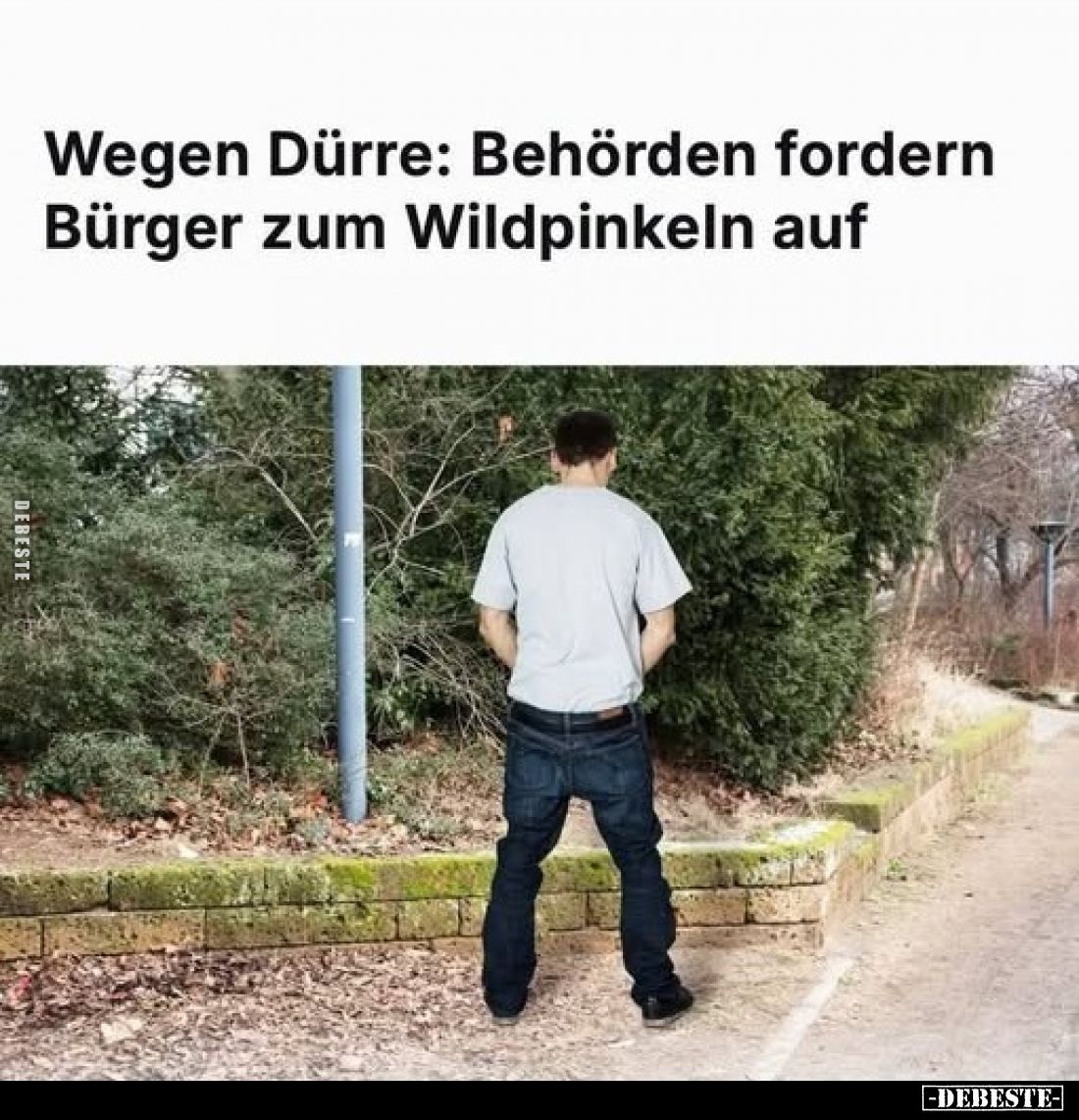 Wegen Dürre: Behörden fordern Bürger zum Wildpinkeln auf