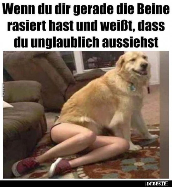 Wenn du dir gerade die Beine rasiert hast und weißt, dass.. - Lustige Bilder | DEBESTE.de