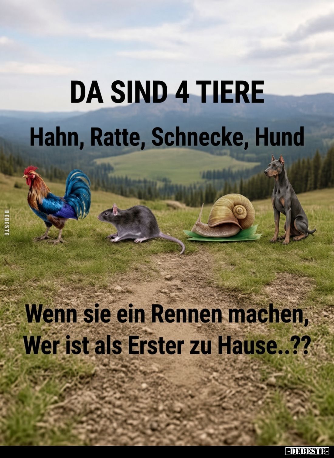 DA SIND 4 TIERE
Hahn, Ratte, Schnecke, Hund.
Wenn sie ein Rennen machen, Wer ist als Erster zu Hause..??