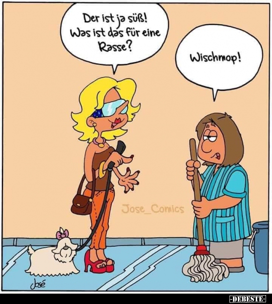 Der ist ja süß! Was ist das für eine Rasse?..