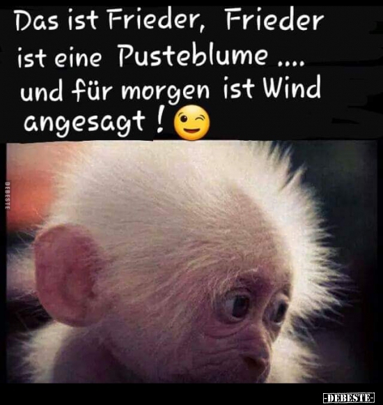 Das ist Frieder, Frieder ist eine Pusteblume..