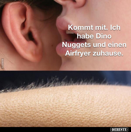 Kommt mit. Ich habe Dino Nuggets und einen Airfryer.. - Lustige Bilder | DEBESTE.de