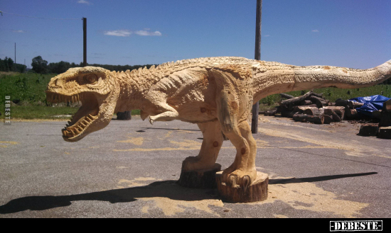  - Lustige Bilder | DEBESTE.de