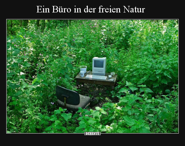 Ein Büro in der freien Natur.. - Lustige Bilder | DEBESTE.de