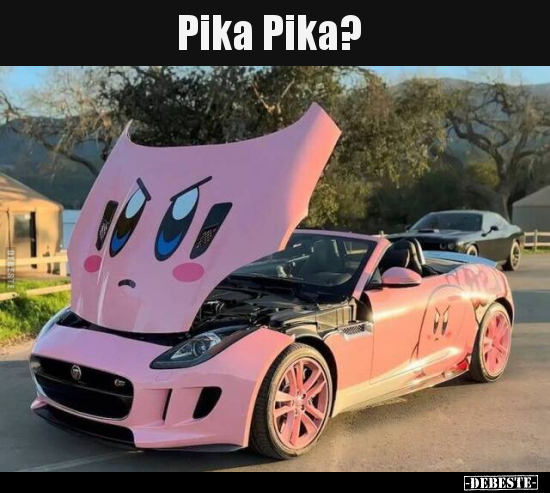 Pika Pika?