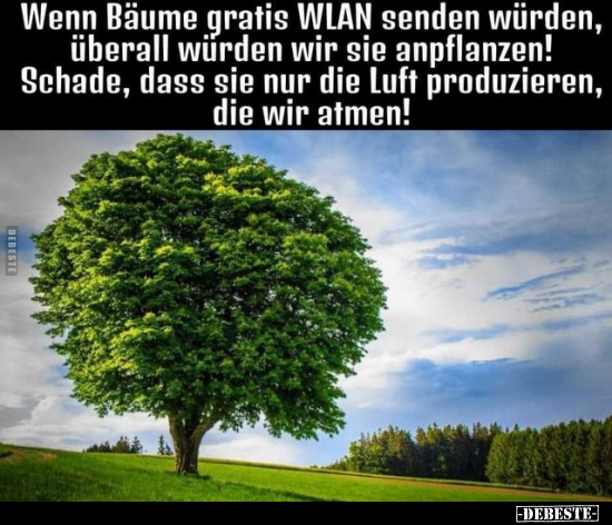 Wenn Bäume gratis WLAN senden würden, überall würden wir.. - Lustige Bilder | DEBESTE.de
