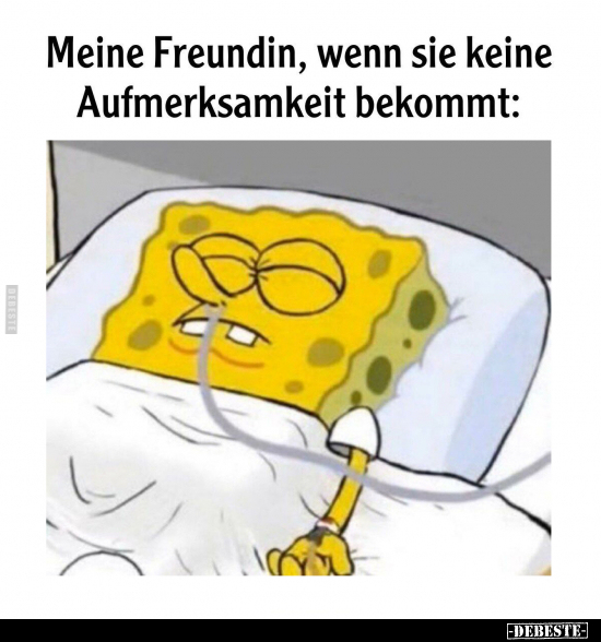 Meine Freundin, wenn sie keine Aufmerksamkeit bekommt.. - Lustige Bilder | DEBESTE.de