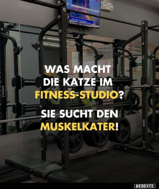 Was macht die Katze im Fitness-Studio?.. - Lustige Bilder | DEBESTE.de