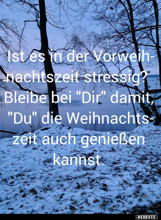 Ist es in der Vorweihnachtszeit stressig?.. - Lustige Bilder | DEBESTE.de
