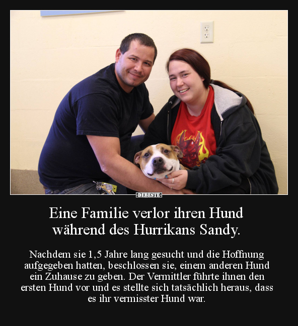 Eine Familie verlor ihren Hund während des Hurrikans.. - Lustige Bilder | DEBESTE.de