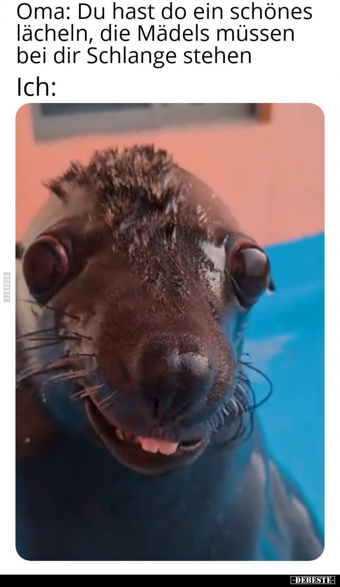 Oma: Du hast do ein schönes lächeln, die Mädels müssen bei dir Schlange stehen
Ich: