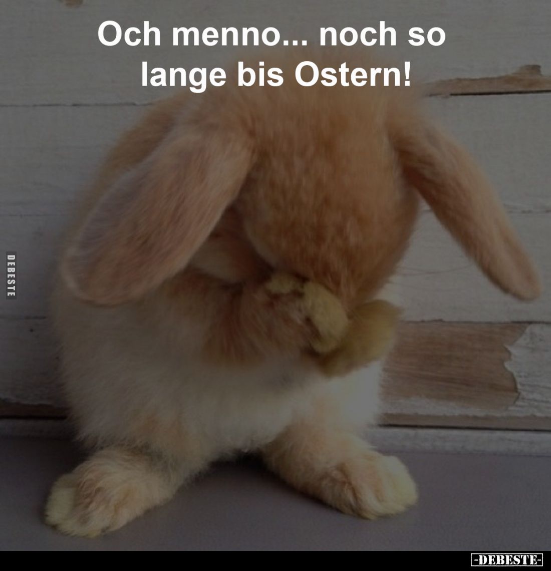 Och menno... noch so lange bis Ostern!.. - Lustige Bilder | DEBESTE.de