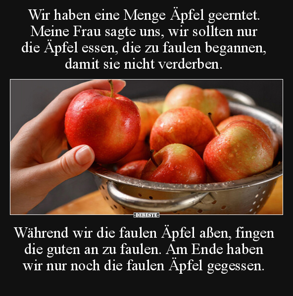 Wir haben eine Menge Äpfel geerntet. Meine Frau sagte uns.. - Lustige Bilder | DEBESTE.de