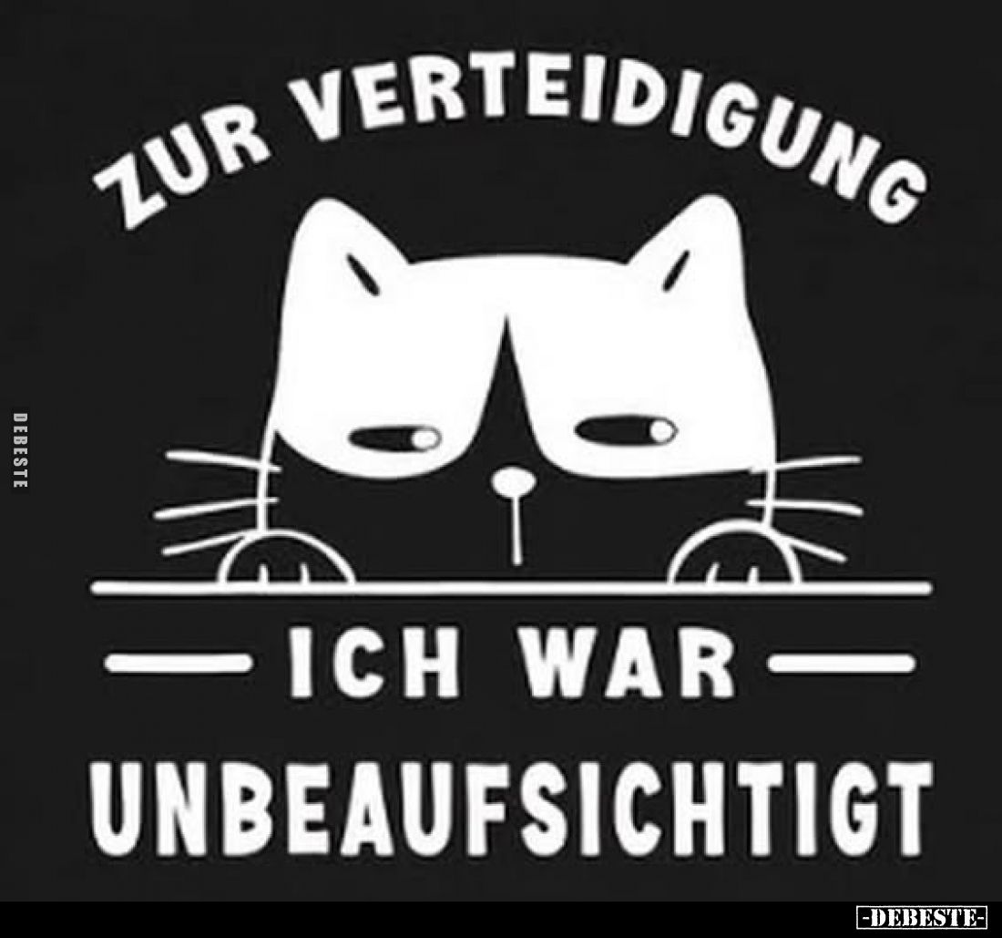 Zur Verteidigung
-
Ich war unbeaufsichtigt