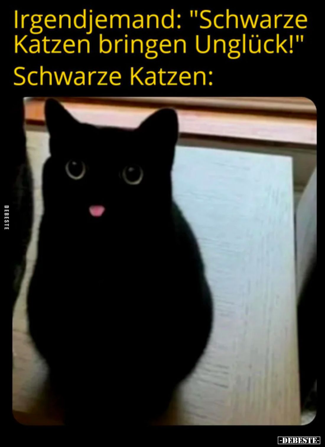 Jemand: "Schwarze Katzen bringen Unglück!"
 - 
Schwarze Katzen: