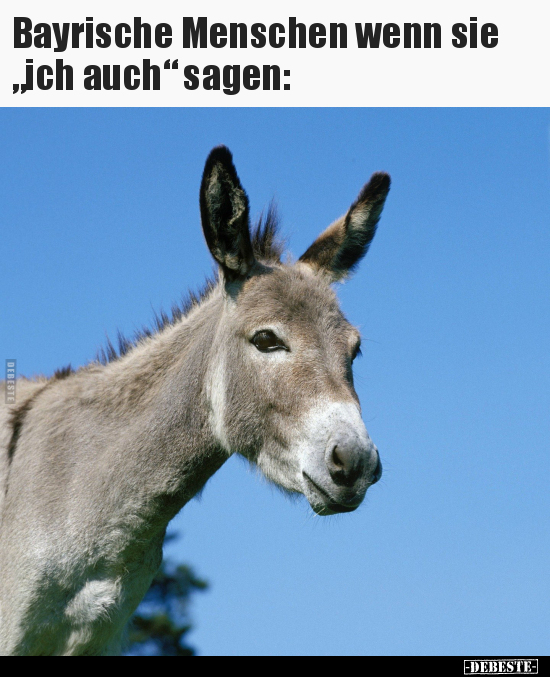 Bayrische Menschen wenn sie "ich auch" sagen.. - Lustige Bilder | DEBESTE.de