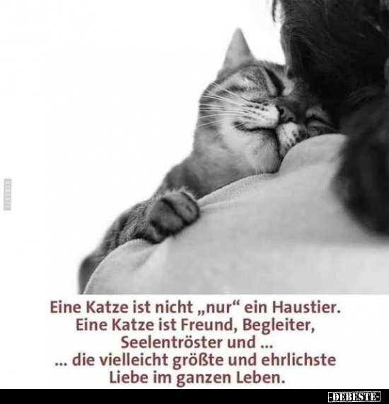 Eine Katze ist nicht "nur" ein Haustier. Eine Katze ist.. - Lustige Bilder | DEBESTE.de
