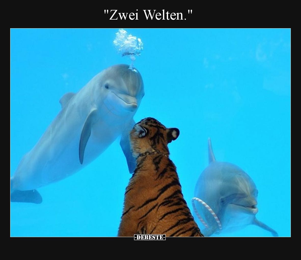 Zwei Welten