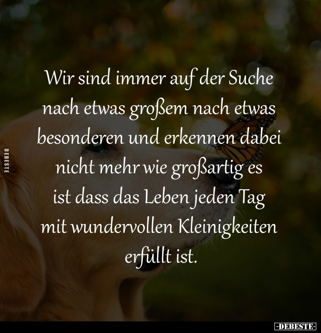 Wir sind immer auf der Suche 
nach etwas großem nach etwas 
besonderen und erkennen dabei 
nicht mehr wie großartig es 
i...