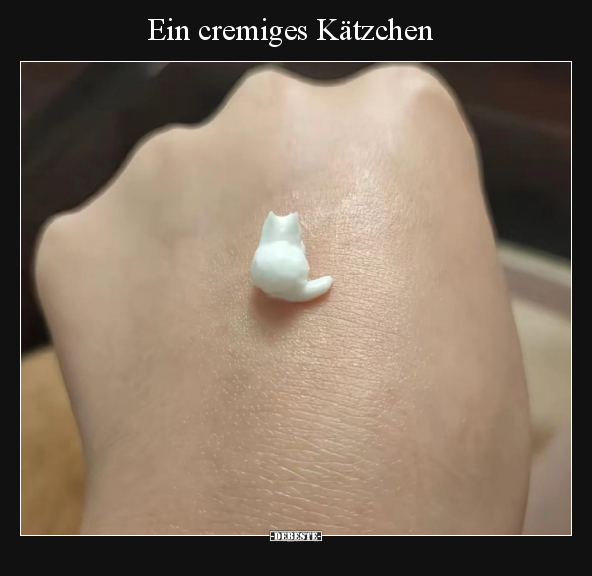 Ein cremiges Kätzchen