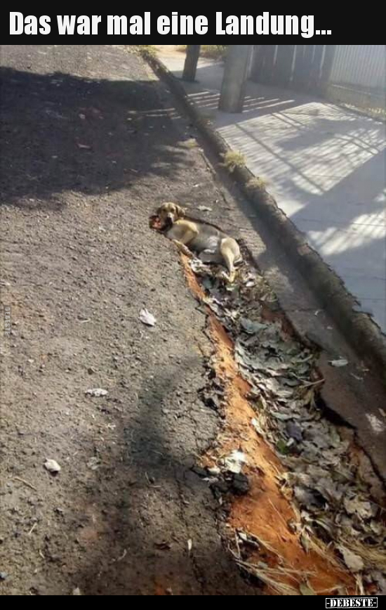 Das war mal eine Landung...