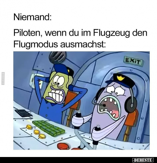 Piloten, wenn du im Flugzeug den Flugmodus ausmachst.. - Lustige Bilder | DEBESTE.de