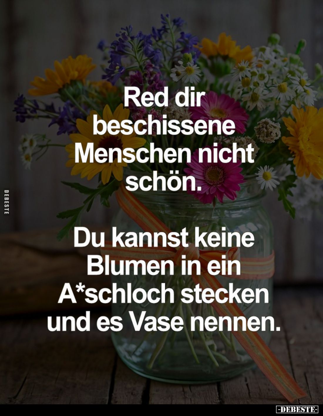 Red dir beschissene Menschen nicht schön.

Du kannst keine Blumen in ein A*schloch stecken und es Vase nennen.
