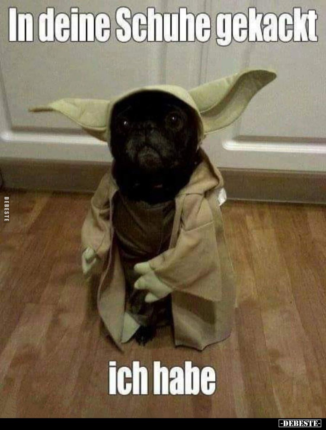 In deine Schuhe gekackt
ich habe.