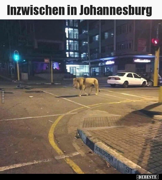 Inzwischen in Johannesburg.. - Lustige Bilder | DEBESTE.de