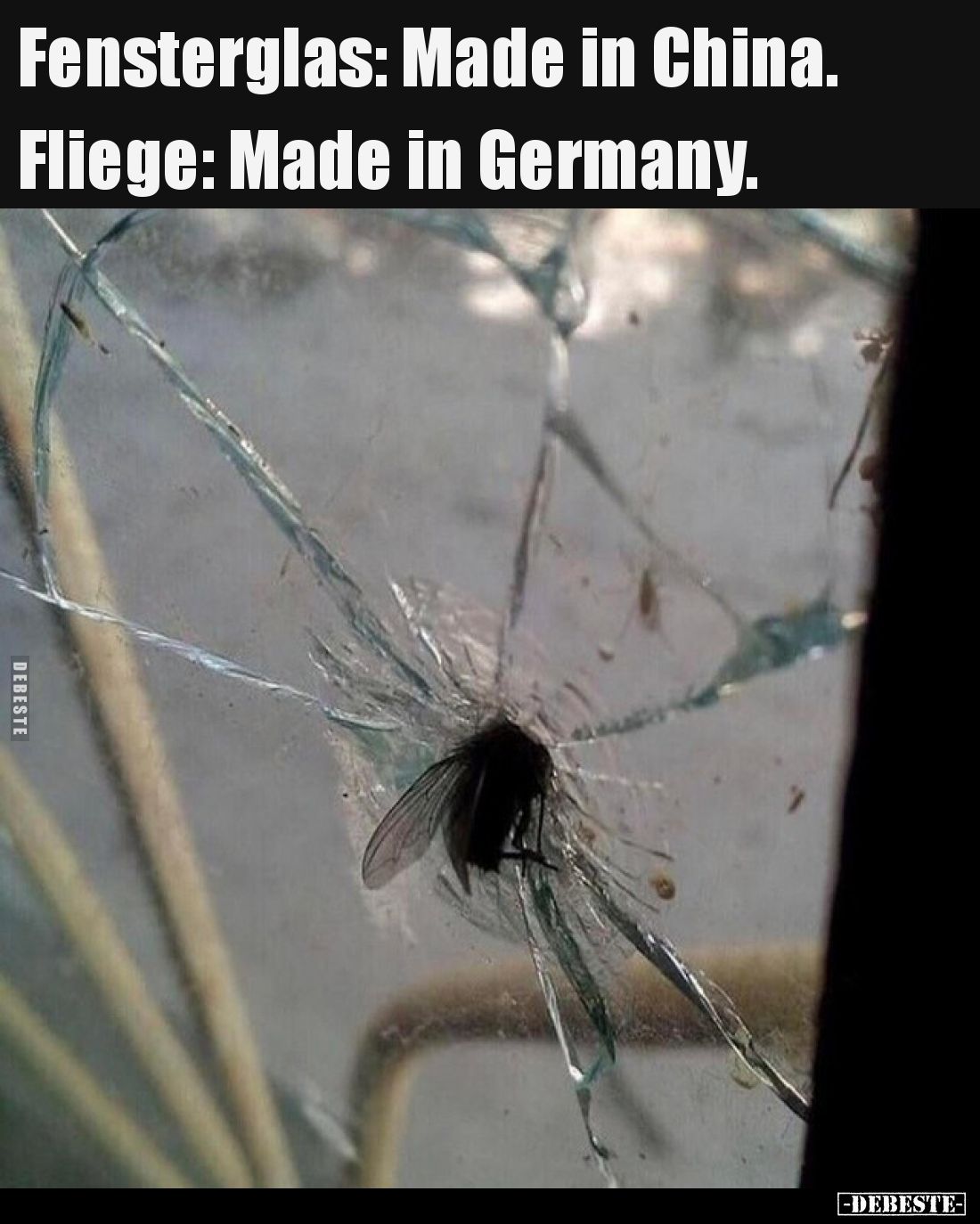 Fensterglas: Made in China. - Fliege: Made in Germany.
