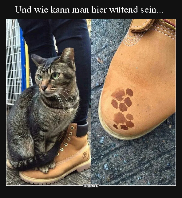 Und wie kann man hier wütend sein