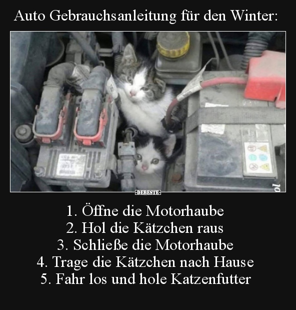 Auto Gebrauchsanleitung für den Winter: 1. Öffne die..