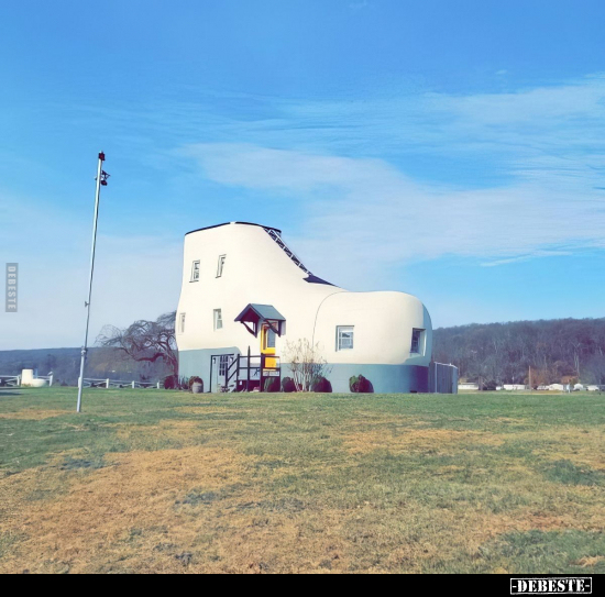  - Lustige Bilder | DEBESTE.de