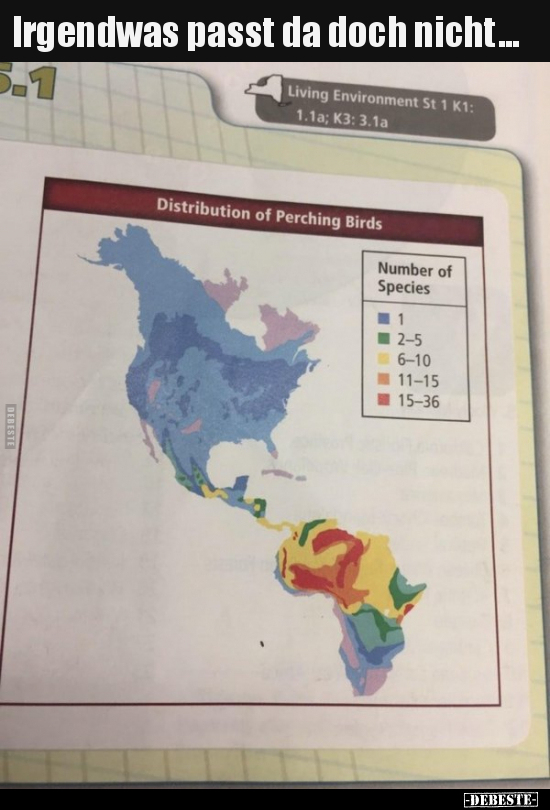 Irgendwas passt da doch nicht...
