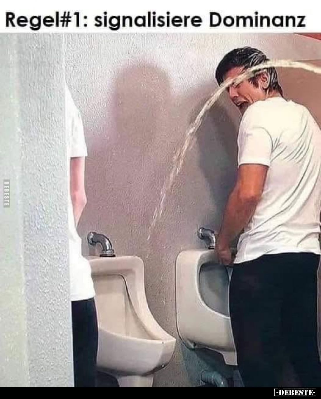 Regel 1: signalisiere Dominanz