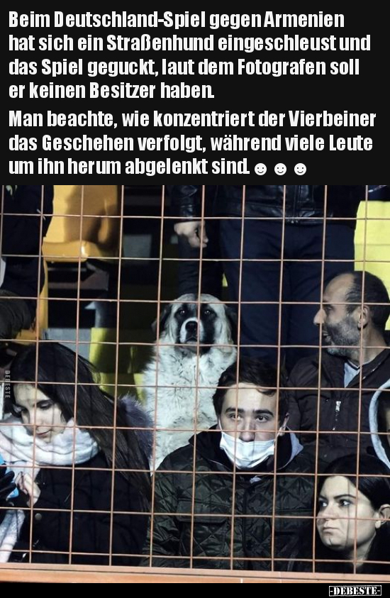 Beim Deutschland-Spiel gegen Armenien hat sich ein.. - Lustige Bilder | DEBESTE.de