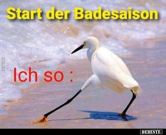 Start der Badesaison... - Lustige Bilder | DEBESTE.de