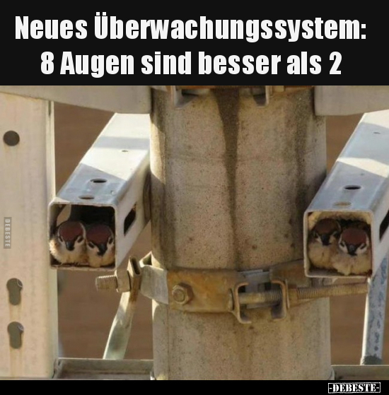 Neues Überwachungssystem: 8 Augen sind besser als 2.. - Lustige Bilder | DEBESTE.de