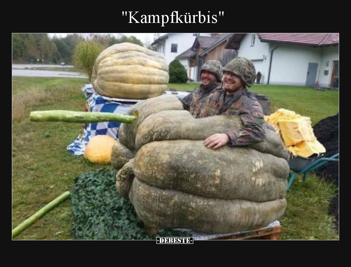 Kampfkürbis