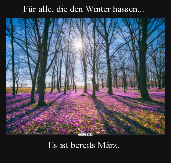 Für alle, die den Winter hassen...