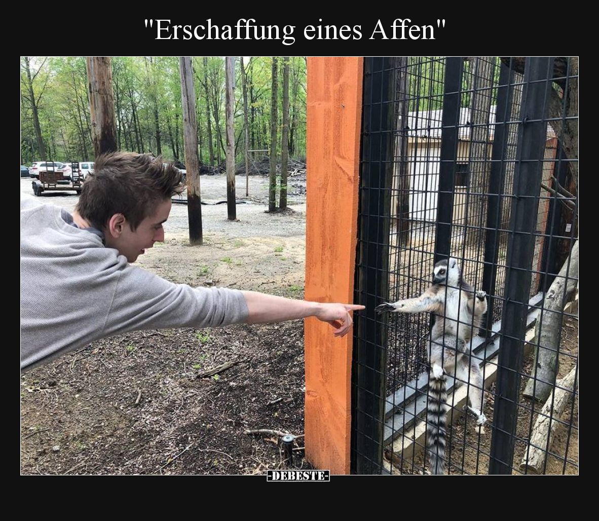 Erschaffung eines Affen