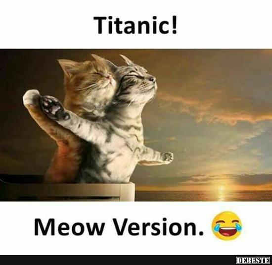 Titanic! Meow version. - Lustige Bilder | DEBESTE.de