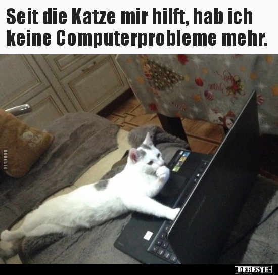 Seit die Katze mir hilft, hab ich keine Computerprobleme.. - Lustige Bilder | DEBESTE.de