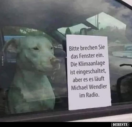 Bitte brechen Sie das Fenster ein.. - Lustige Bilder | DEBESTE.de