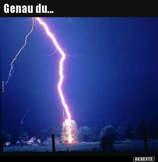 Genau du...