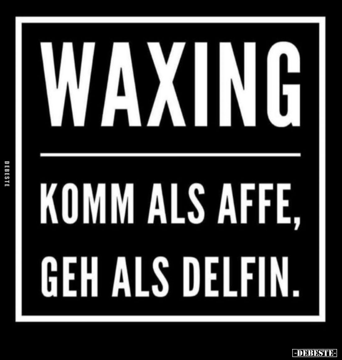 Waxing
komm als Affe, geh als Delfin.