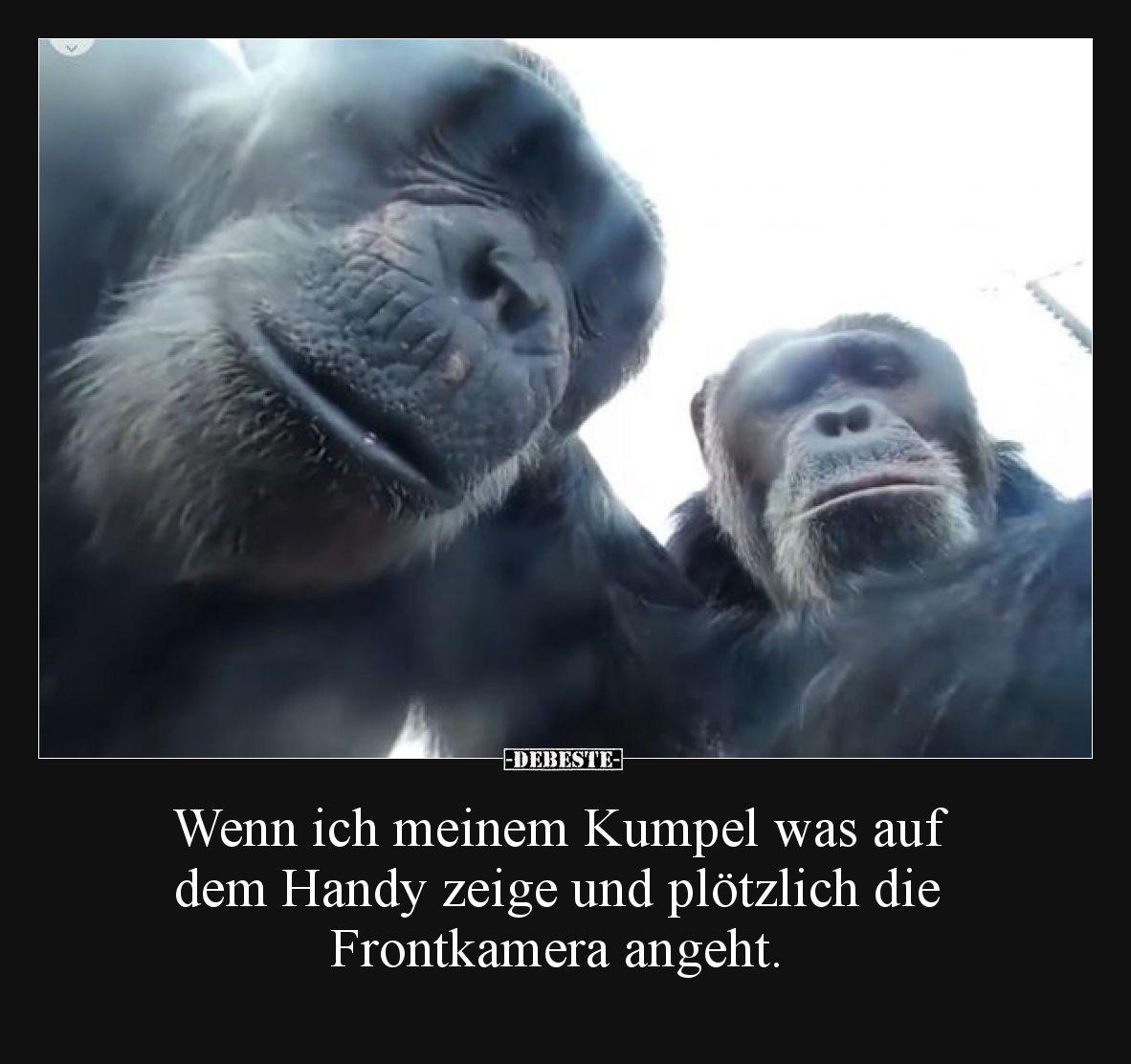 Wenn ich meinem Kumpel was auf dem Handy zeige und plötzlich die Frontkamera angeht.