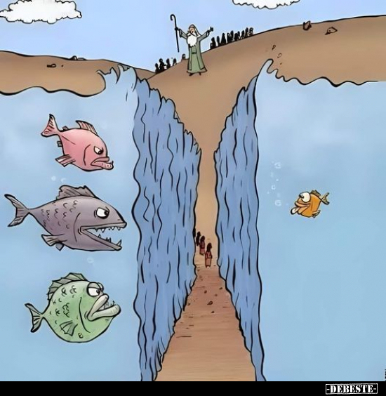  - Lustige Bilder | DEBESTE.de