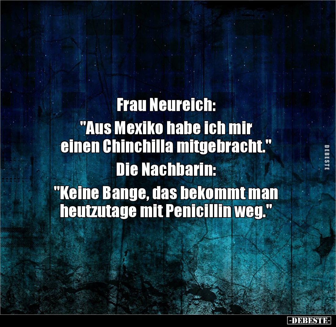 Frau Neureich: 

"Aus Mexiko habe ich mir 
einen Chinchilla mitgebracht." 

Die Nachbarin: 

"Keine Ban...