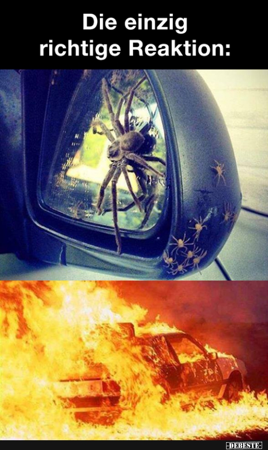 Die einzig richtige Reaktion..